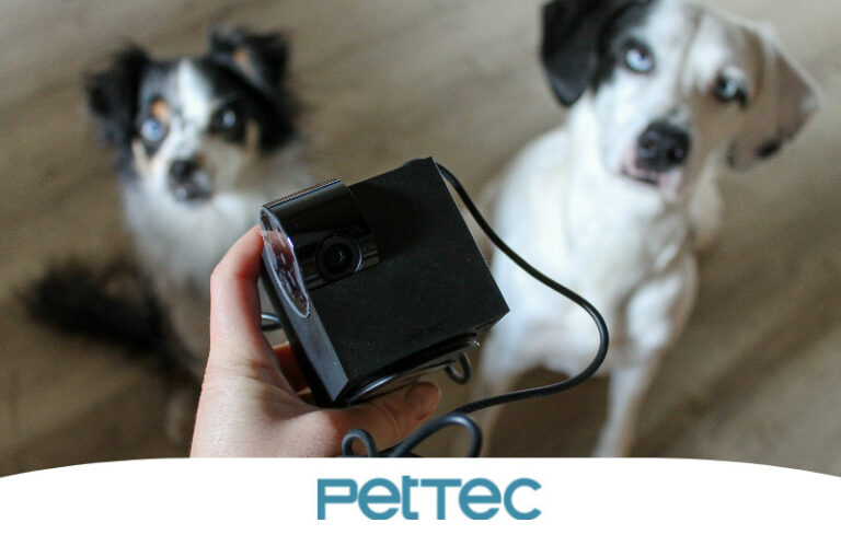 Erfahrungen mit der PetTec Haustierkamera und dem Erziehungshalsband